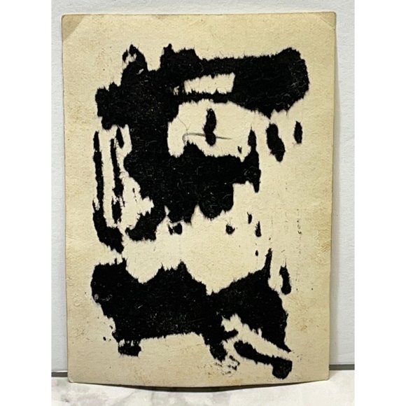 Vintage Raccoon Found Photo B&W Snapshot Chained Up on Leash Sitting on Porch - Picture 4 of 7